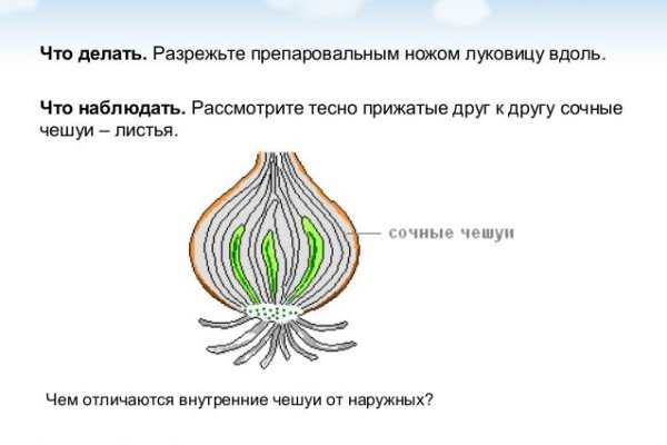 Кракен сайт ссылка