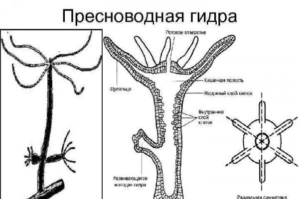 Kra37.cc Вход на сайт главная страница