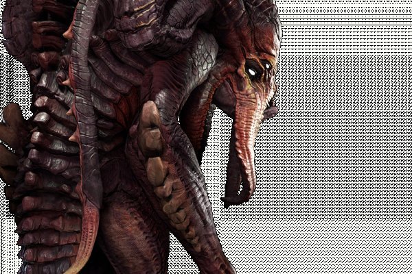 Kraken online
