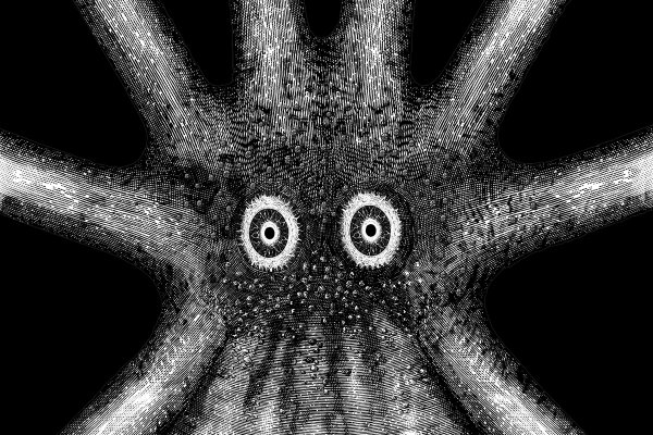 Не работает сайт kraken