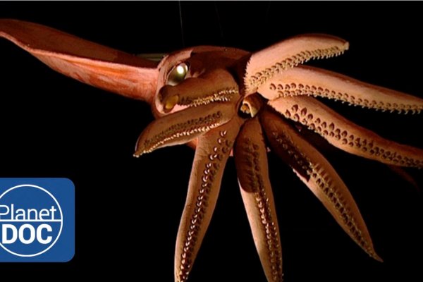 Kraken13at