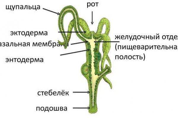 2 krn