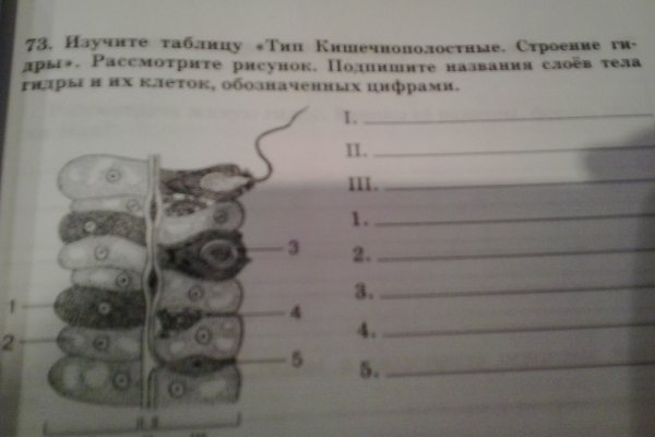 Сайт кракен онион