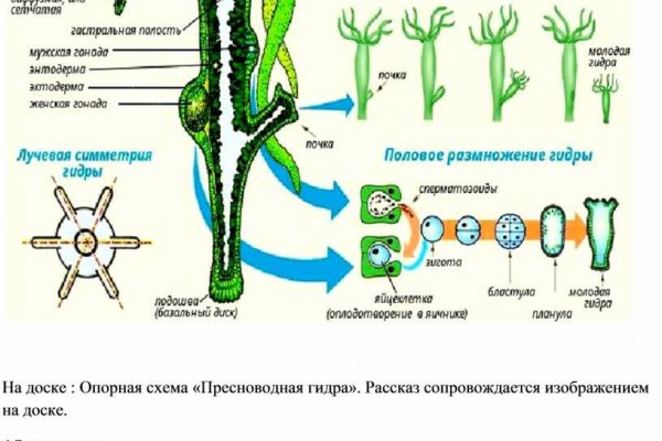 Пользователь не найден кракен что делать