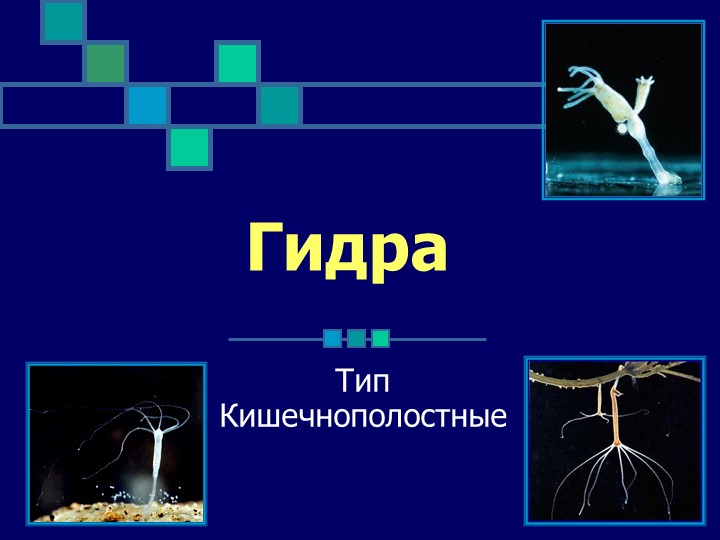 Как зайти на кракен с компа
