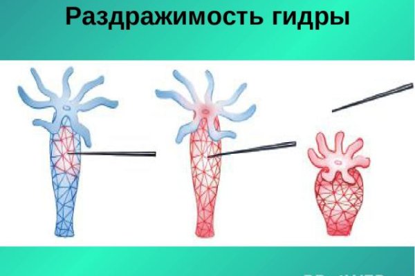 Кракен маркетплейс в тг