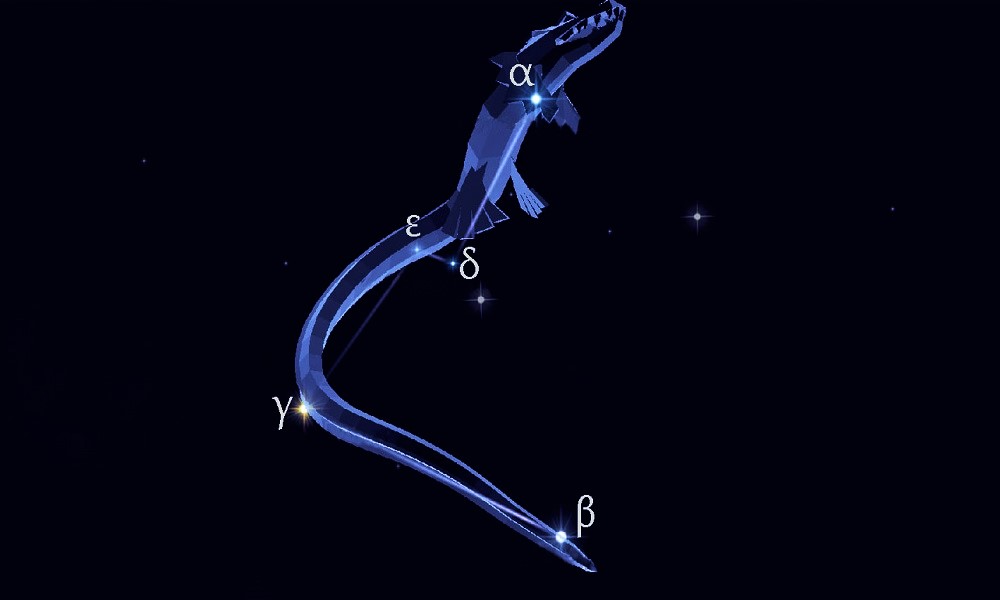 Kraken 17 at